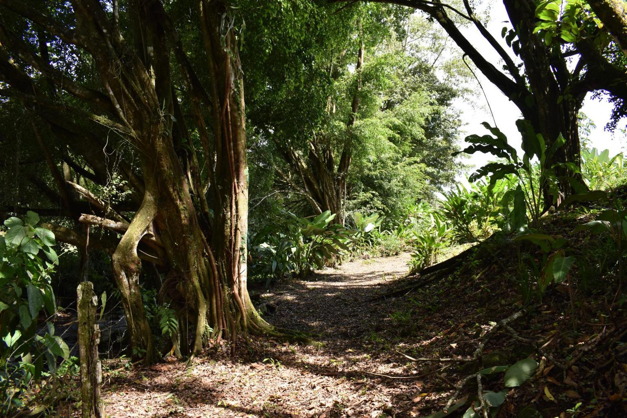 Hotel Arenal Country Inn La Fortuna Eksteriør bilde