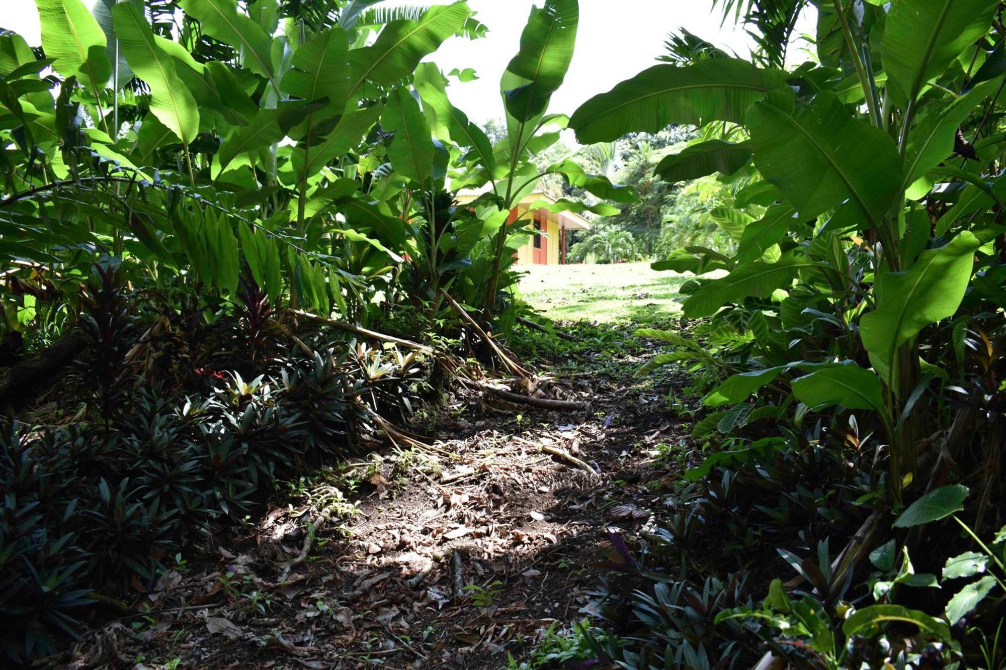 Hotel Arenal Country Inn La Fortuna Eksteriør bilde