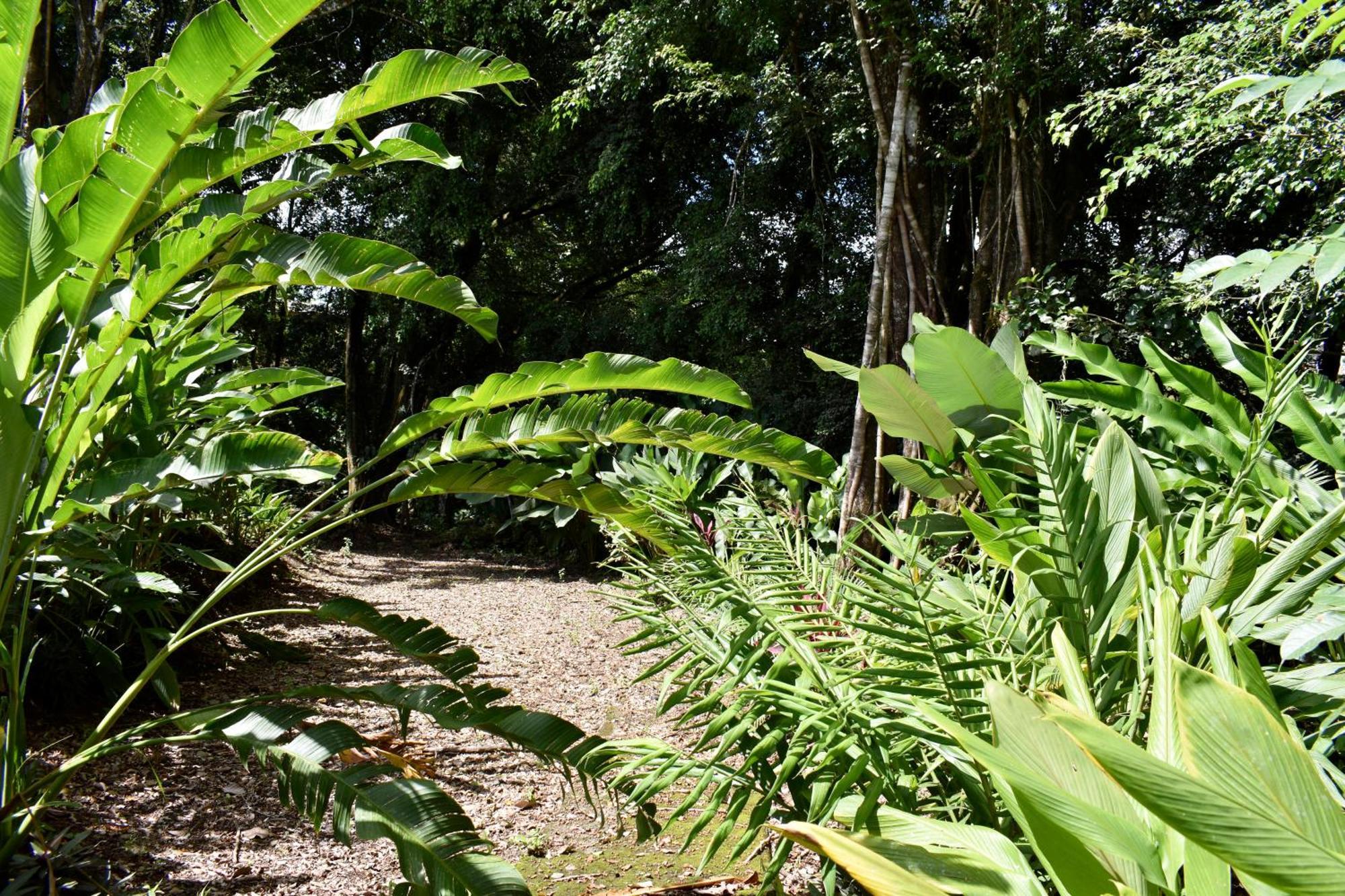 Hotel Arenal Country Inn La Fortuna Eksteriør bilde