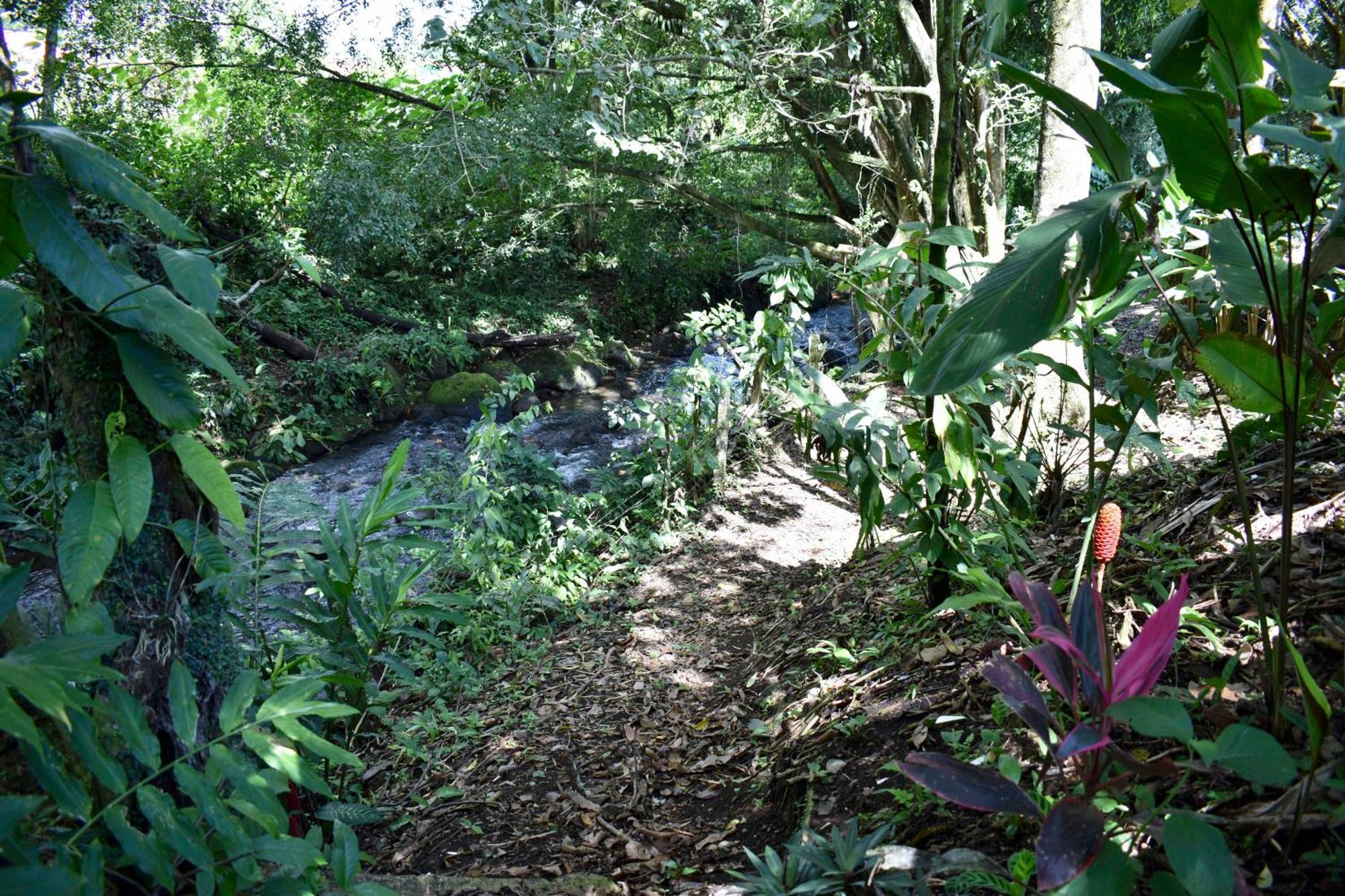 Hotel Arenal Country Inn La Fortuna Eksteriør bilde