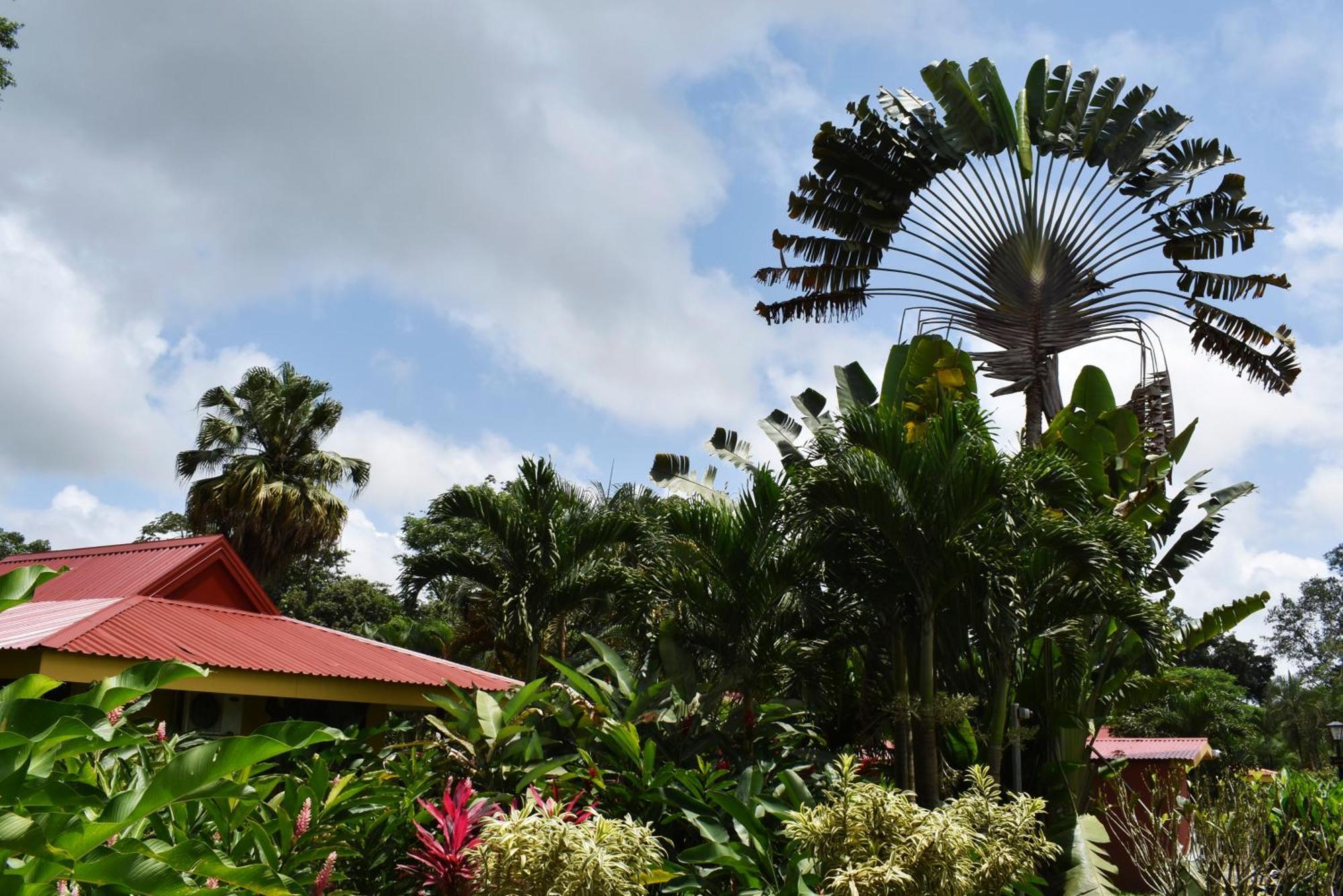 Hotel Arenal Country Inn La Fortuna Eksteriør bilde