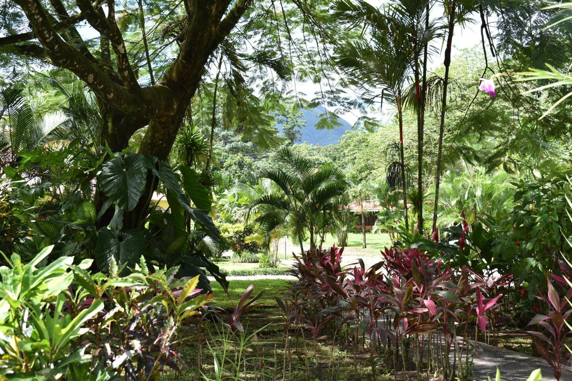 Hotel Arenal Country Inn La Fortuna Eksteriør bilde